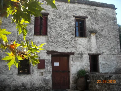 Theriso - Photo 3
