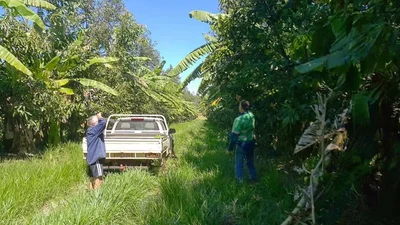 Atherton - Photo 5