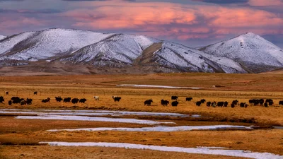Zhiduo County - Photo 5