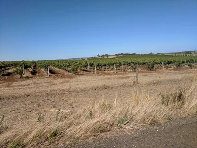 Gomersal - Photo 5