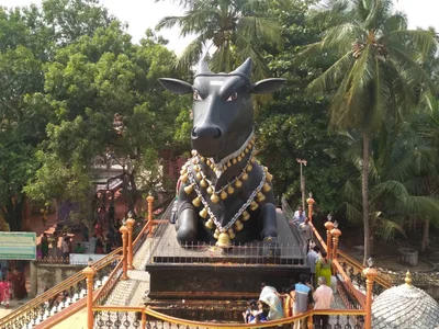 Bikkavolu - Photo 4