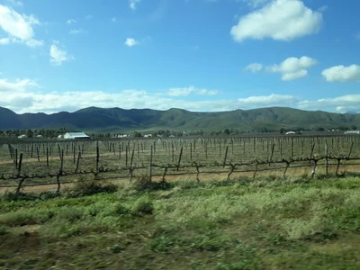 Bonnievale - Photo 2
