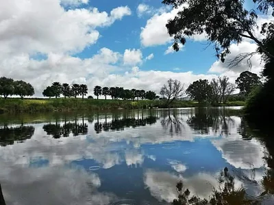 Bonnievale - Photo 5