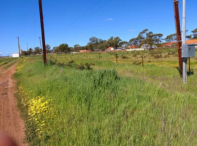 Cunderdin - Photo 2