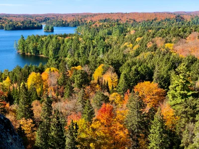 Algonquin Provincial Park - Photo 4