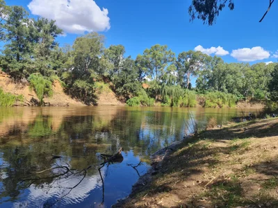 Narromine - Photo 3