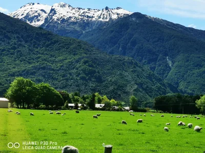 Makarora - Photo 4