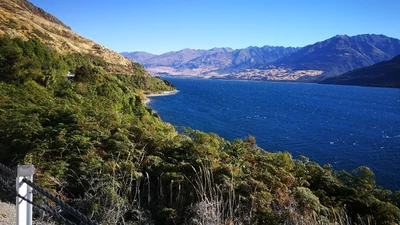 Makarora - Photo 5