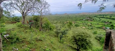 Ghānerao - Photo 3