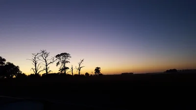 Grassmere - Photo 2