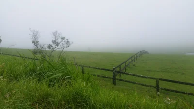Robertson - Photo 4