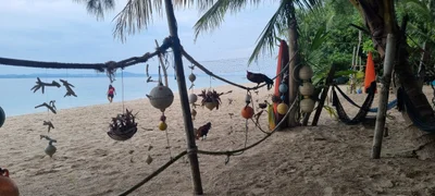 Marang - Photo 5
