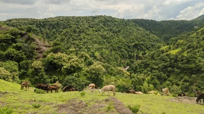 Kannad - Photo 5