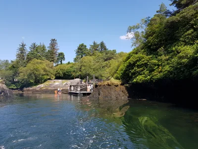 Glengarriff - Photo 3