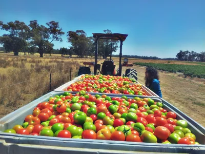 Mooroopna - Photo 2