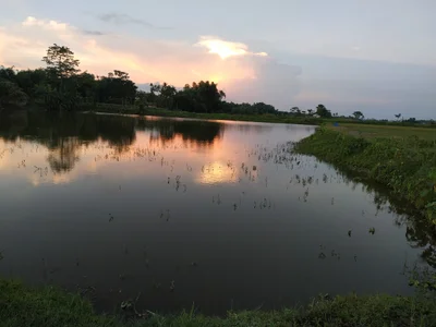 Mangaldai - Photo 3