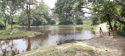 Mangaldai - Photo 5
