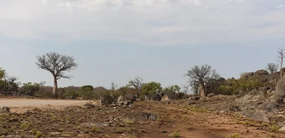 Wunaamin Miliwundi Ranges - Photo 4