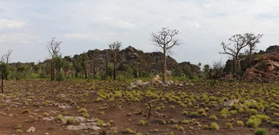 Wunaamin Miliwundi Ranges - Photo 5
