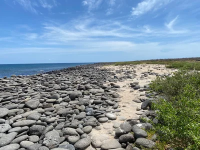 Seymour Island - Photo 2