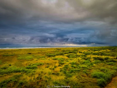 Ocean Shores - Photo 4