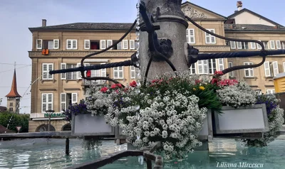 Fribourg - Photo 4