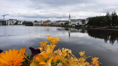 Reykjavik - Photo 4
