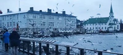 Reykjavik - Photo 5