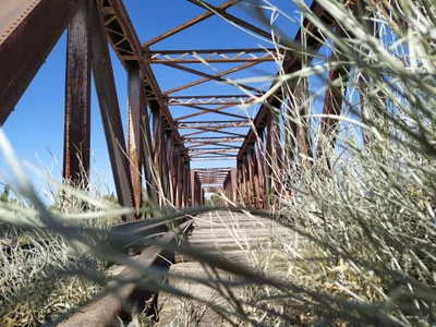 San Carlos - Photo 3