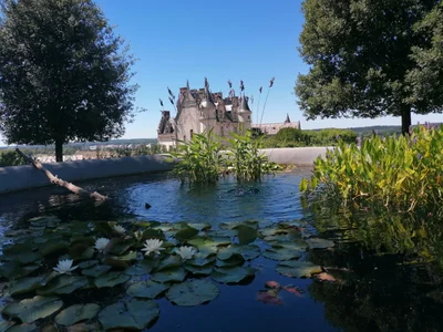 Amboise - Photo 4