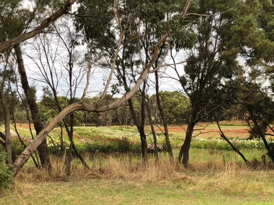 Bolwarra - Photo 5