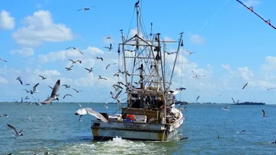 Port Bolivar - Photo 4