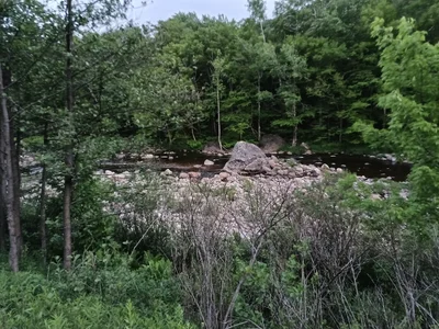 Green Mountains - Photo 2