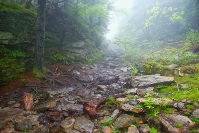 Green Mountains - Photo 5