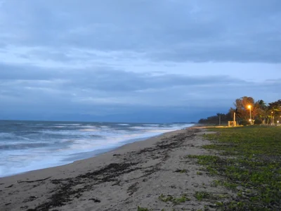 Forrest Beach - Photo 3