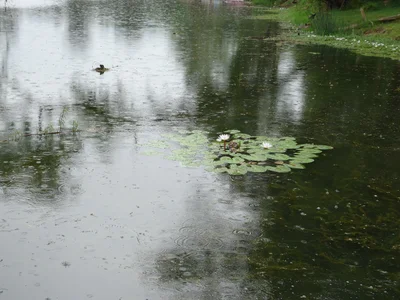 Ubaque - Photo 3