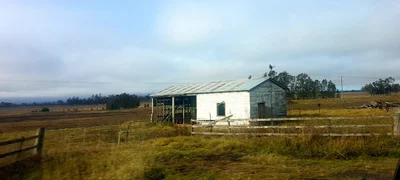 Ulmarra - Photo 5