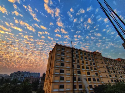 Jamgora - Photo 3