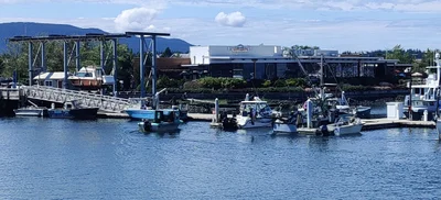 Fidalgo Island - Photo 4