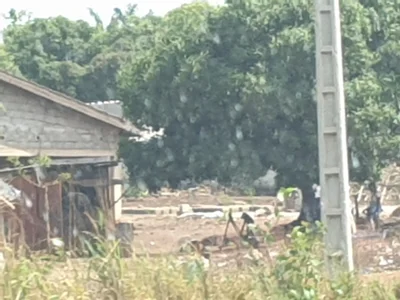 Tiébissou - Photo 2