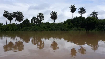 Janjanbureh - Photo 4