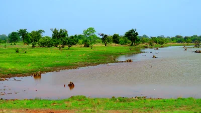 Janjanbureh - Photo 5
