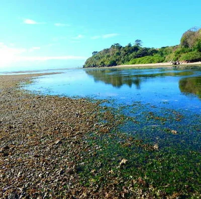 Calatagan - Photo 5