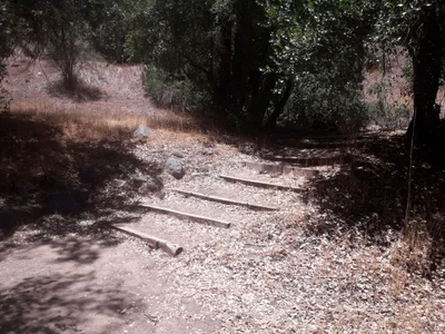 Melocoton - Photo 2