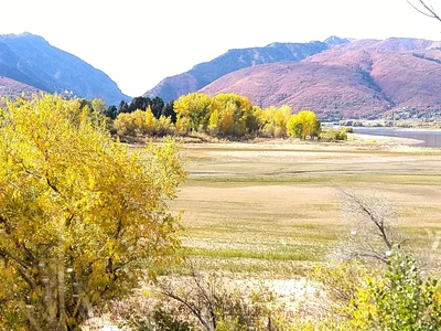Eden - Photo 5