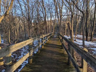 Van Buren County - Photo 4