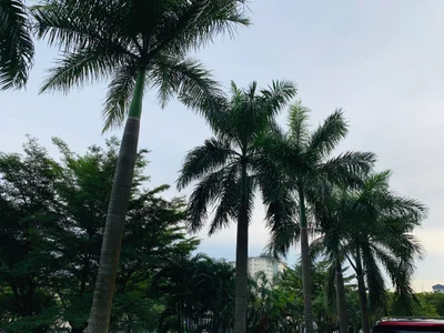 Victoria Island - Photo 3