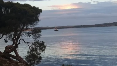 Mount Dutton Bay - Photo 2