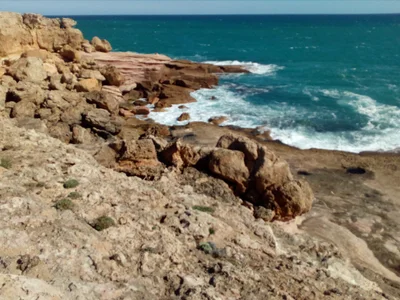 Mount Dutton Bay - Photo 4