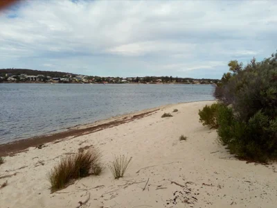 Mount Dutton Bay - Photo 5